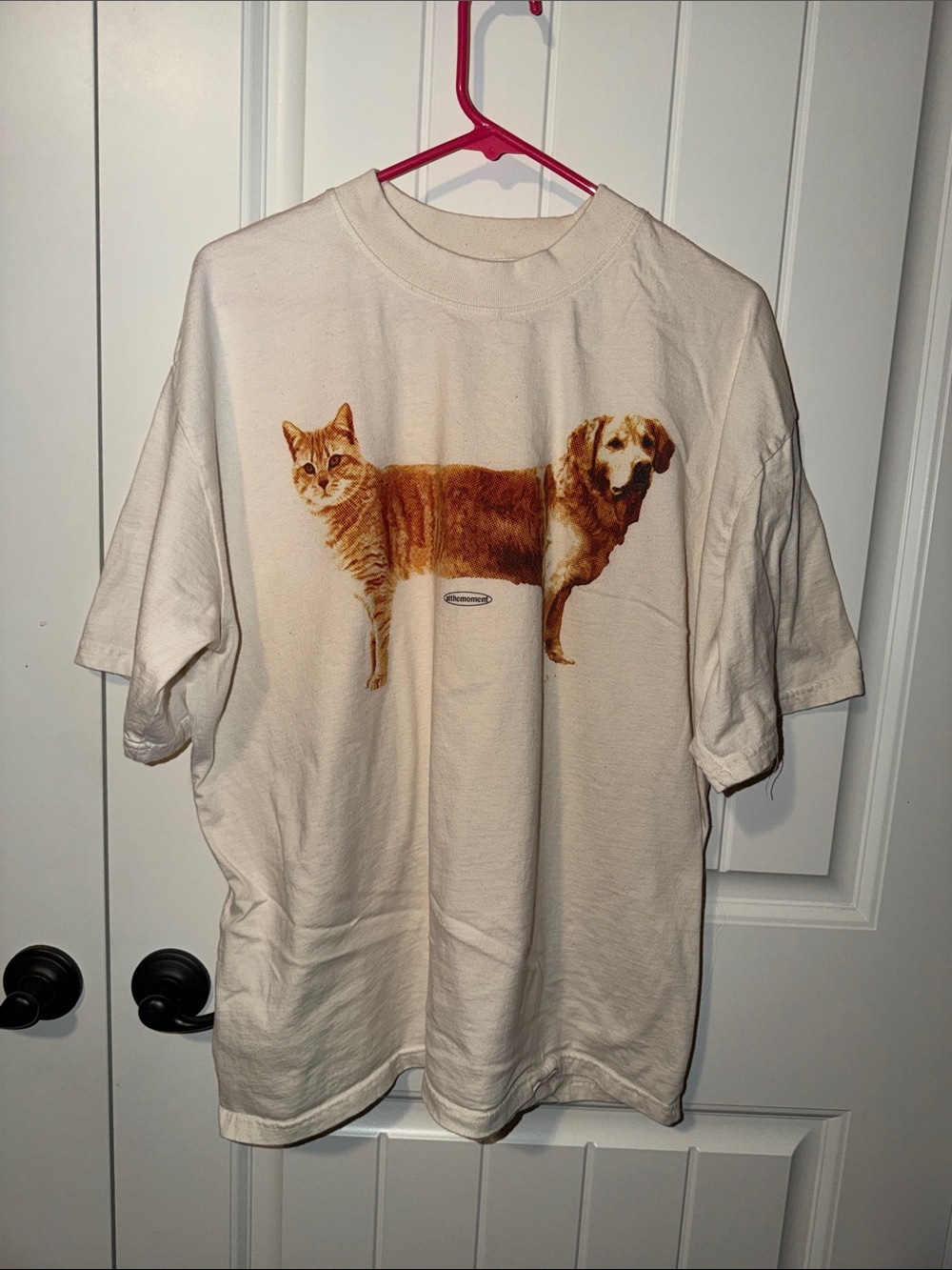 At the Moment - Cat & Dog Premium Oversized Tee